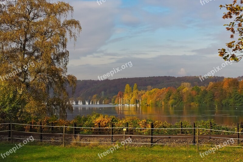 Autumn Nature Trees Landscape Forest