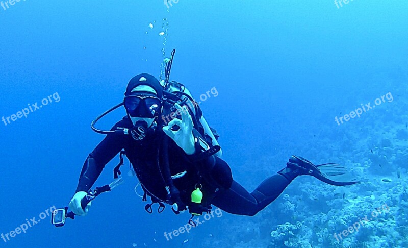 Diving Underwater Divers Water Underwater World