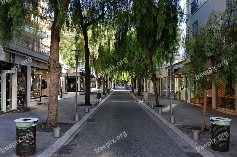 Street Trees City Nice Cote D'azur