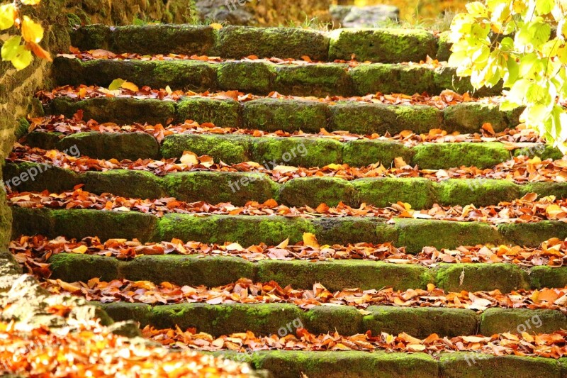 Autumn Stairs Fall Foliage Stair Step Castle Park