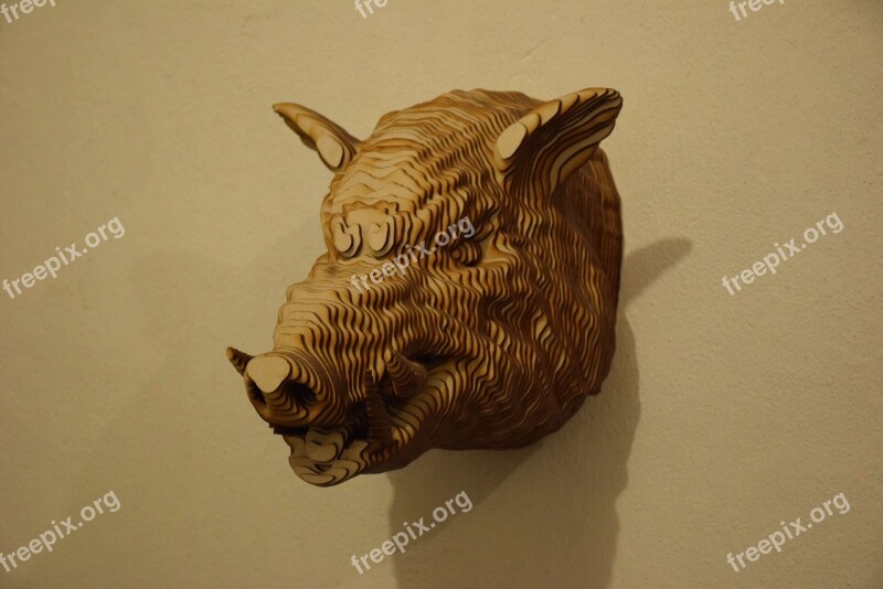 Head Wild Boar Tree Animals Wall