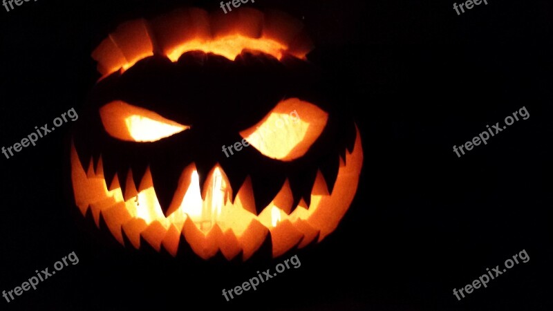 Jack O Lantern Pumpkin Halloween Free Photos