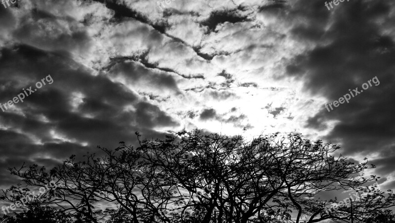 Sky Trees Clouds Nature Black Man