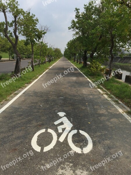 Bicycle Car Road Trees Free Photos