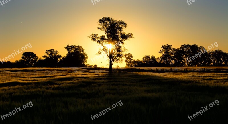 Landscape Sunset Nature Tree Natural Landscape