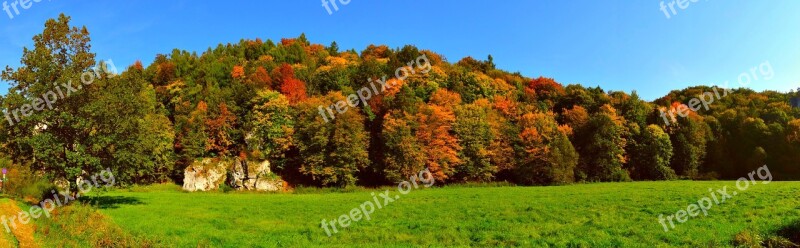 The Founding Fathers Autumn Poland The National Park Nature