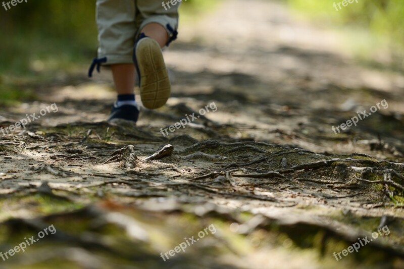 Child Wandering The Path Poland Hiking Trail