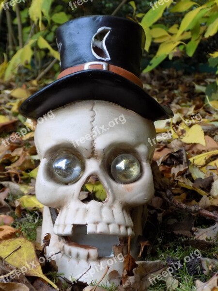 Skull And Crossbones Halloween Creepy Decoration Autumn