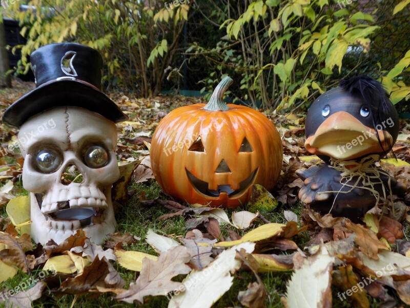 Pumpkin Skull And Crossbones Raven Halloween Decoration