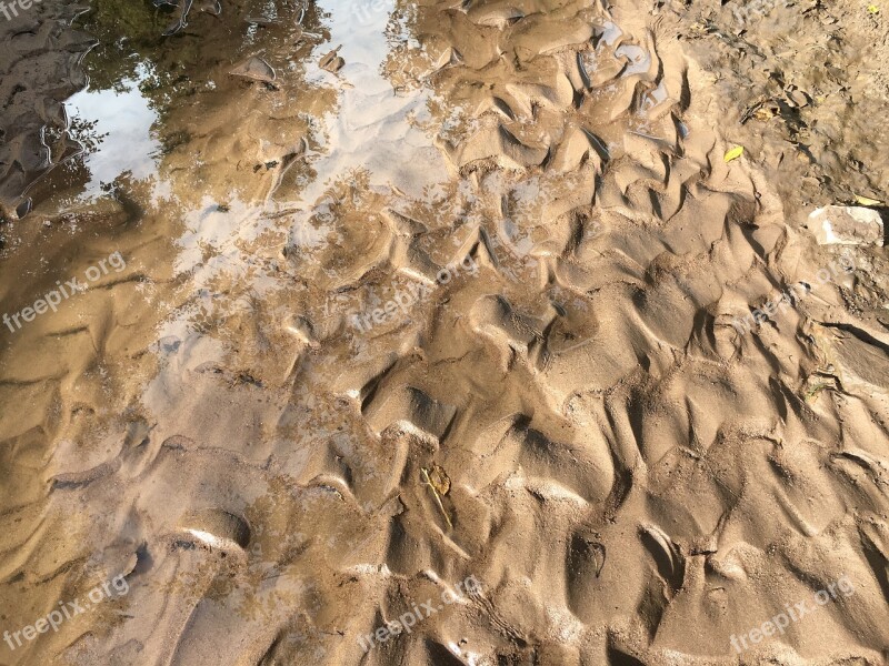 Riverbed Creek Creek Bed Fractals River Sand