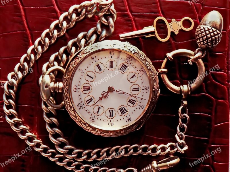 Watch Watch-fob Pocket Watch Jewellery Antique Watches