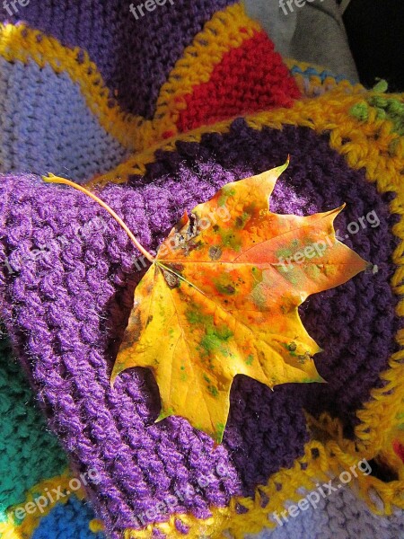 Autumn Leaf Fall Colors Autumn Season Cosy