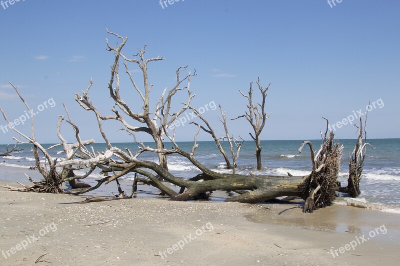 Beach Edisto South Carolina Salt