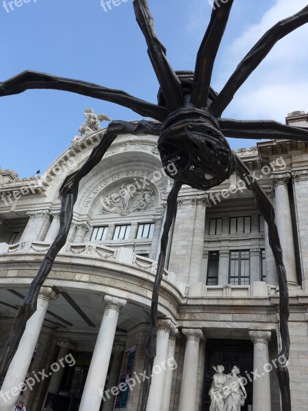 Art Museum Mexico City Spider Modern