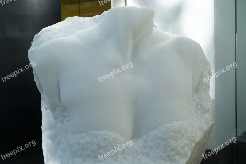 Bust Torso Marble Art Sculpture