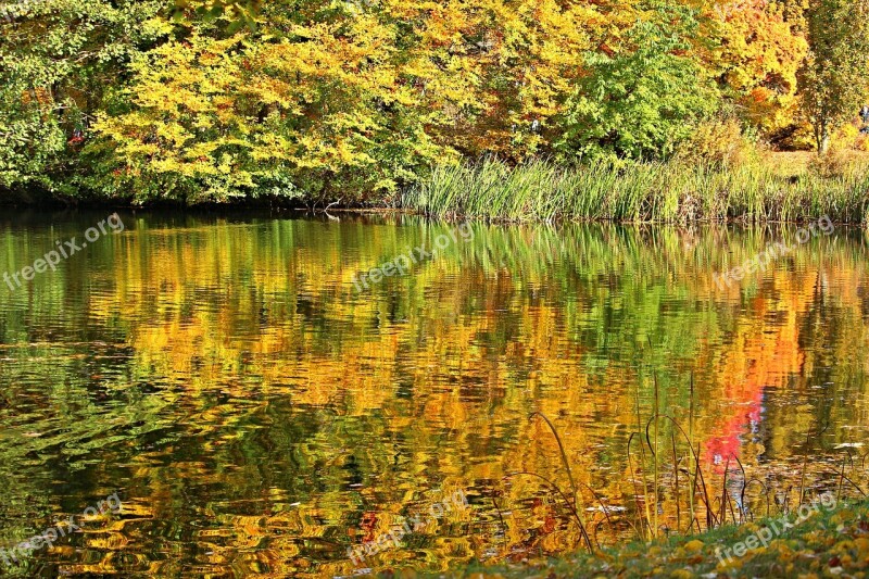 Autumn Fall Foliage Fall Color Water Mirroring