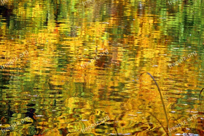 Autumn Fall Foliage Water Lake Pond