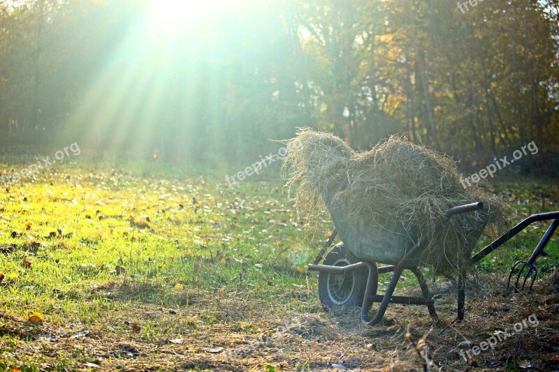 Autumn Light Wheelbarrow Lighting Golden Autumn