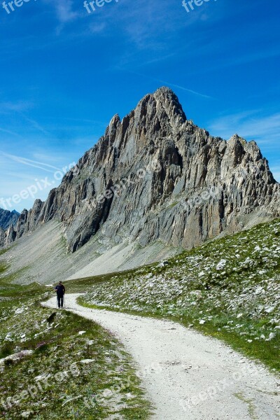 Trail Mountain Summer Excursion Nature