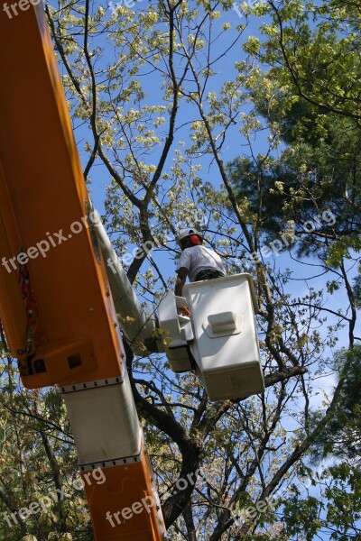 Tree Worker Bucket Truck Arboriculture Workers Lift