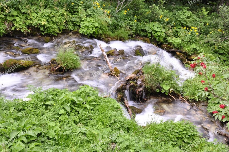 Waterfall Water Natural Water Nature Running Water