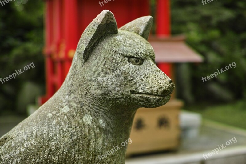 Stone Statues Fox Shrine Free Photos