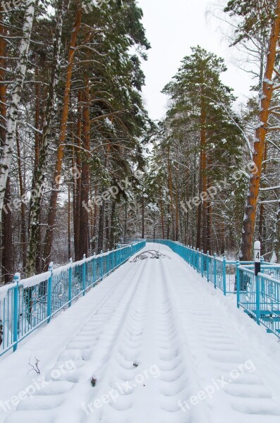 Snow Railway Pine Park Tree