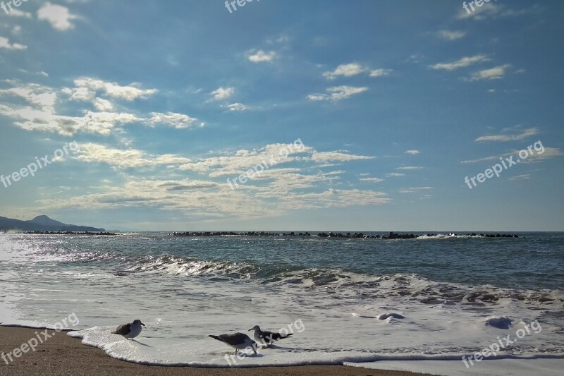 Sky Sea Beach Wave Foam