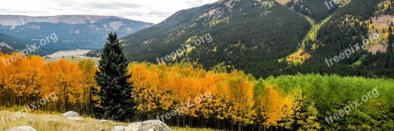 Fall Colorado Aspens Trees Rocky