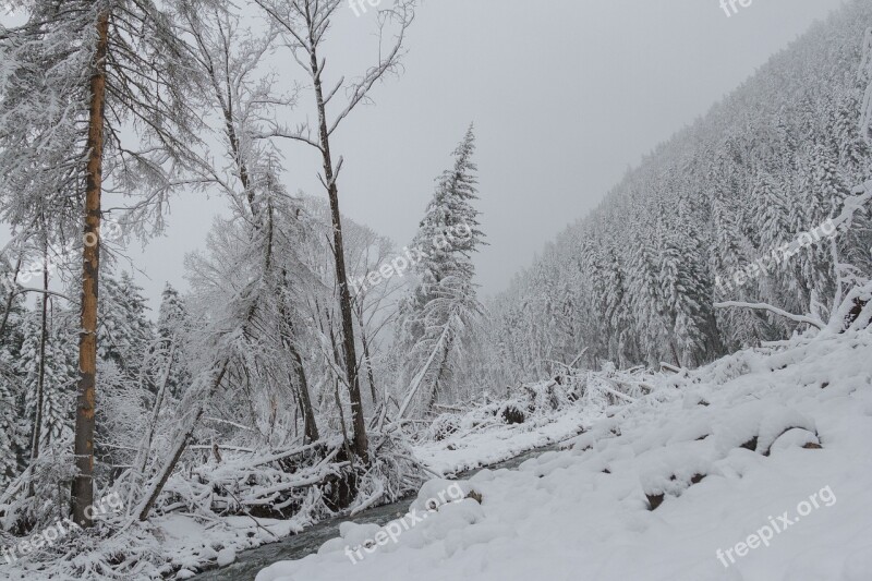 Nature Mountains Landscape Far East Snow