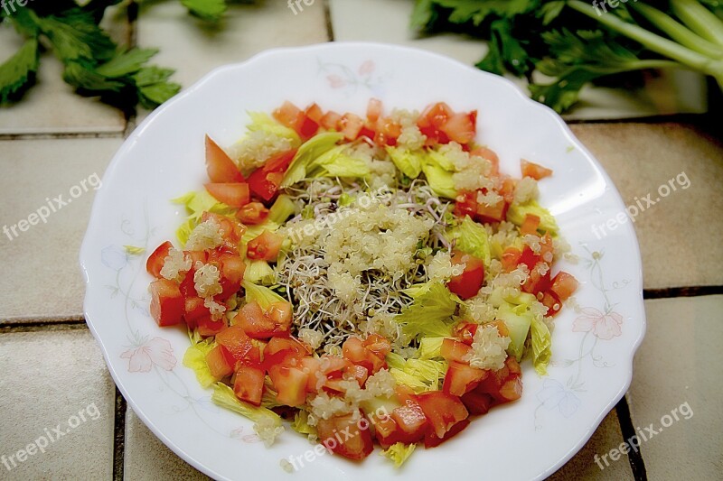 Salad Tomato Kinoa Healthy Food Power