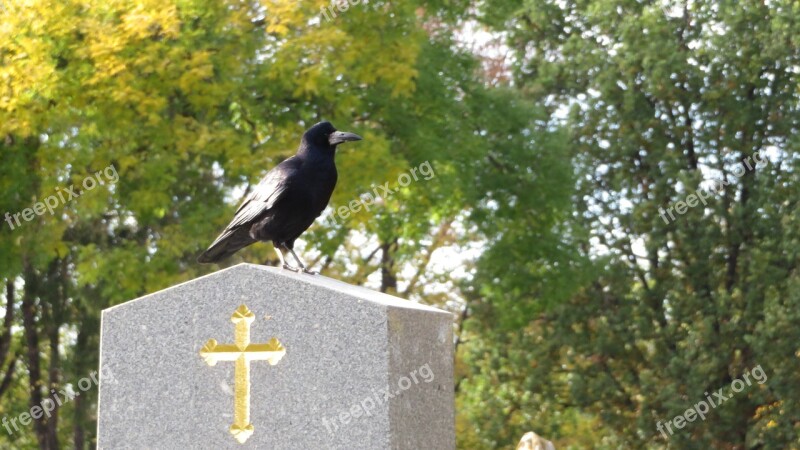 Grave Cross Crow Cemetery Stone