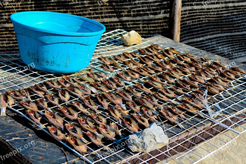 Dry Fish Food Countryside Local