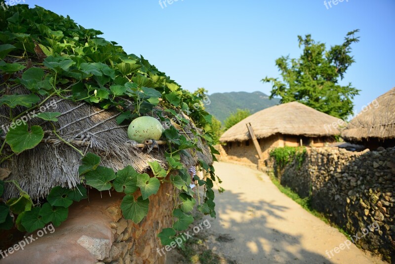 Home Naganeupseong Suncheon Beolgyo Persimmon