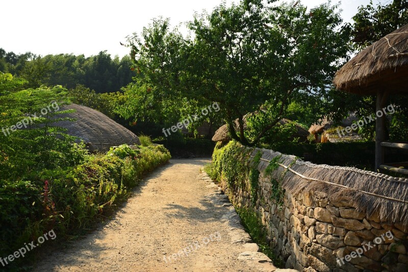 Home Naganeupseong Suncheon Beolgyo Persimmon