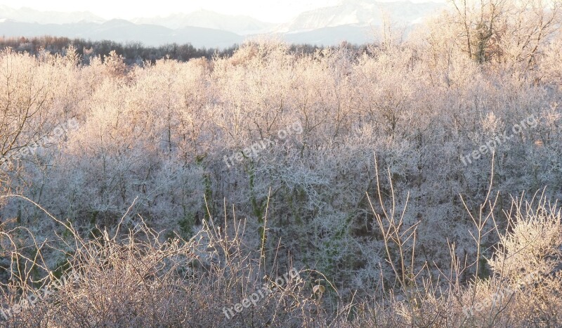 Frost Gel Winter Ice Crystals Landscapes