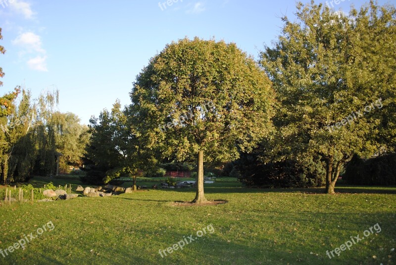 Nature Tree Peace Botanical Garden Free Photos