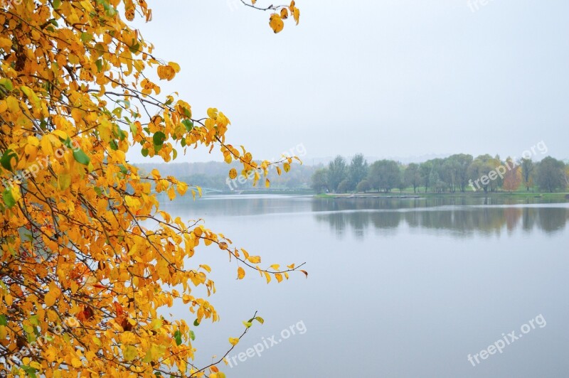 Golden Autumn Autumn Park October Lake Autumn Pond