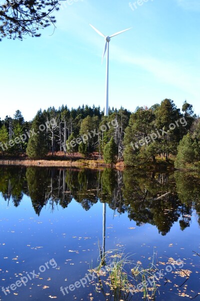 Moor Blind Lake Schonach Black Forest Nature