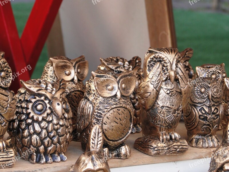 Fair Owl Decoration Free Photos