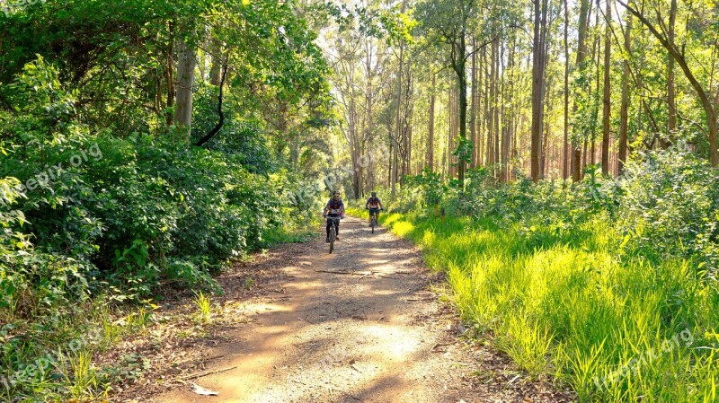 Nature Cyclists Bike Trail Sport