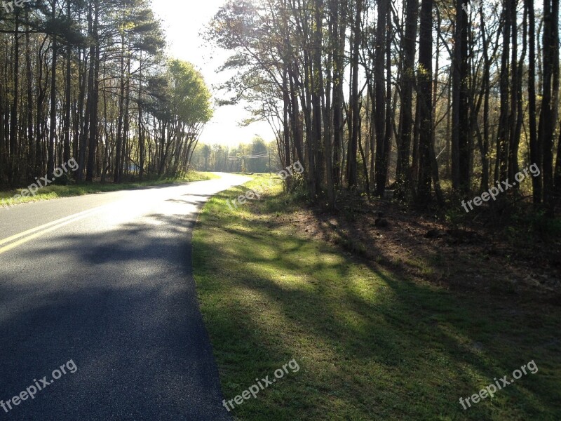 Maryland Princess Anne Back Road Trees Path