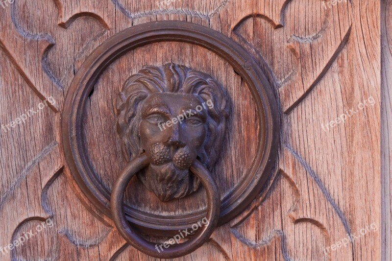 Lion Door Goal Input Wood