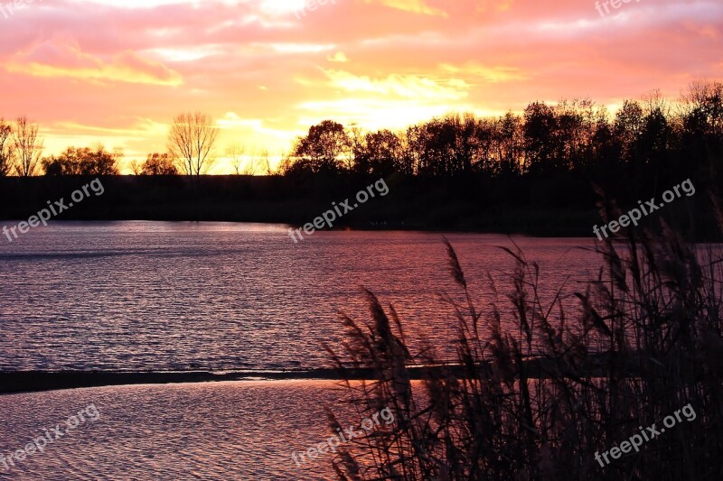 Sunset Afterglow Evening Sky Trees Silhuette