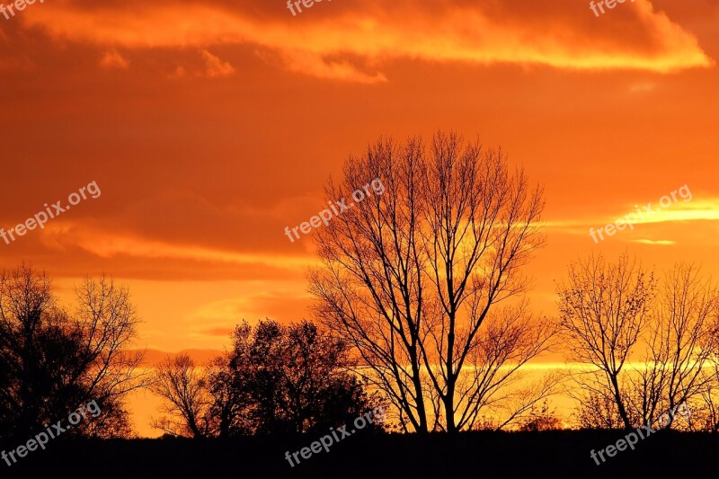 Sunset Afterglow Evening Sky Trees Silhuette