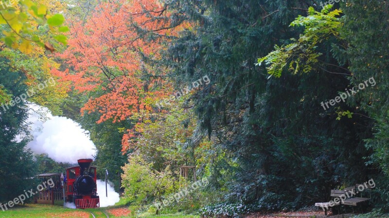 Autumn Steam Locomotive Railway Locomotive Narrow Gauge