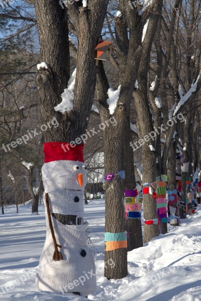 Park Snow Winter Trees Nature