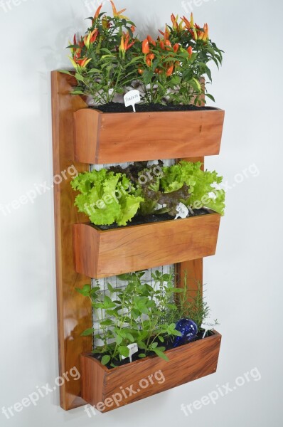 Garden Vertical Garden Gardening Decorative Architecture