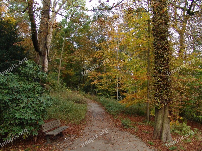 Autumn Fall Foliage Away Golden Autumn Leaves