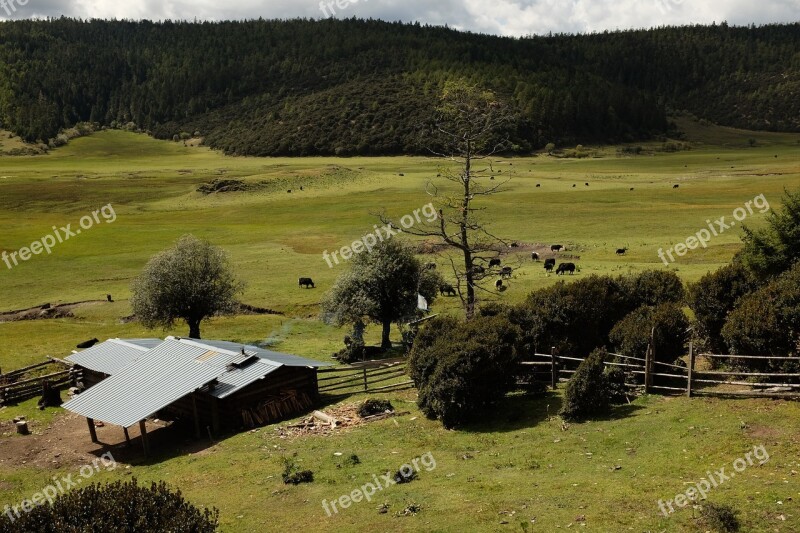 Prairie Shangri-la's In Yunnan Province Free Photos